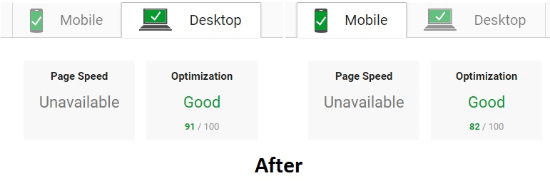 Google PageSpeed Insights After