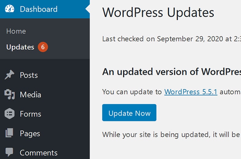 Website Maintenance WordPress Core