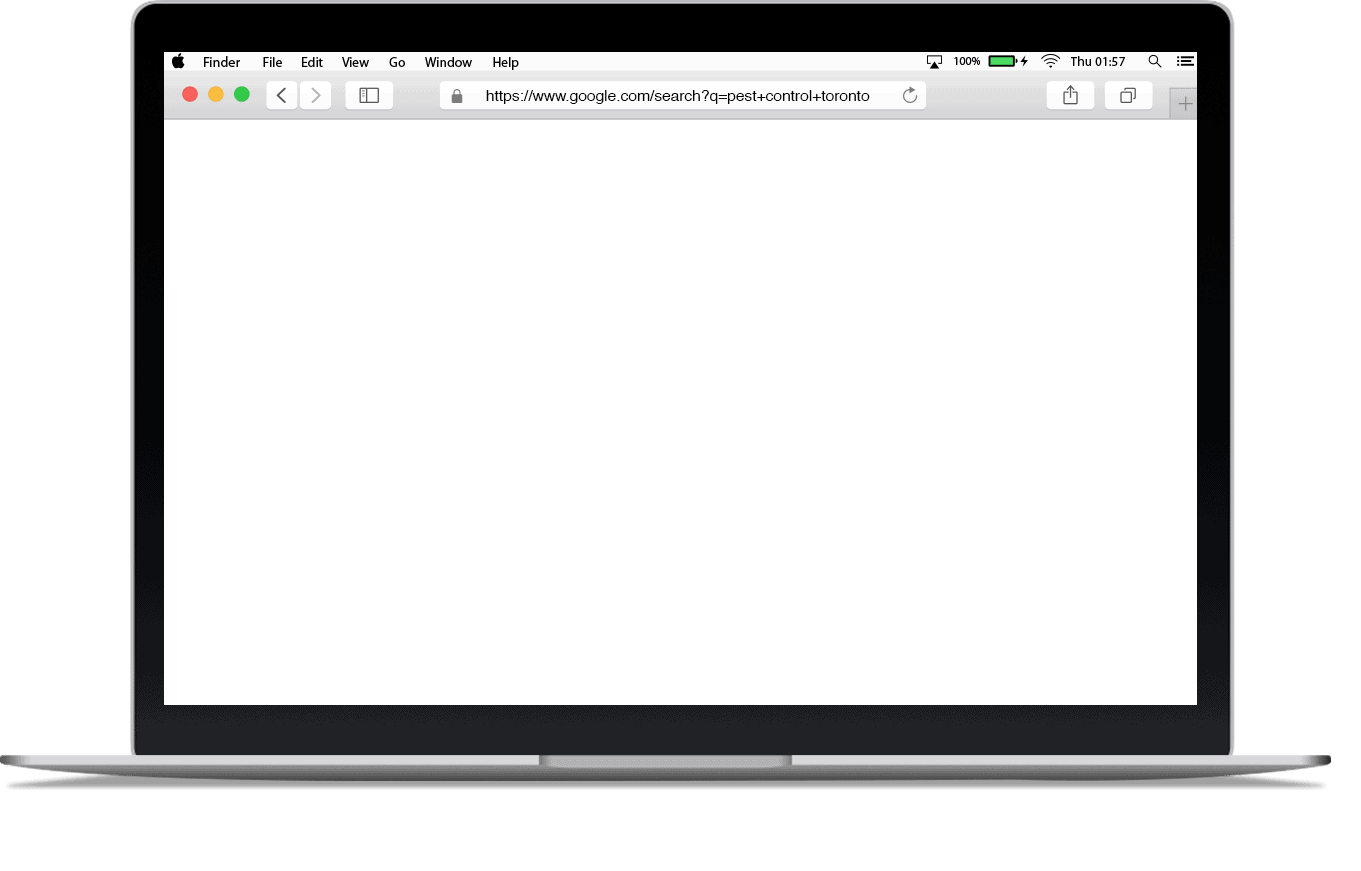 What Exactly Is Organic SEO Overlay