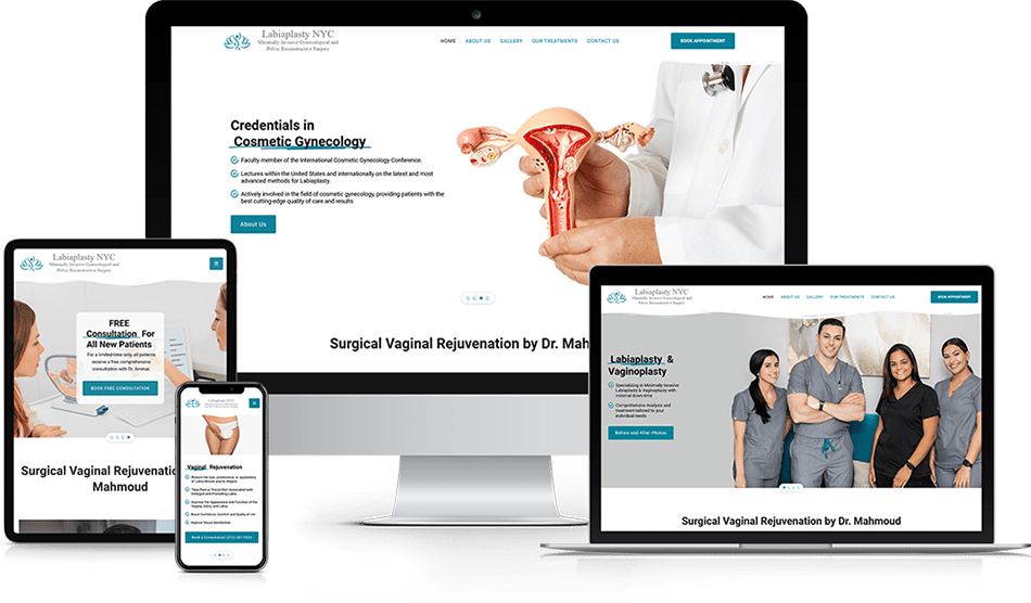 Wisevu Portfolio Labiaplasty NYC