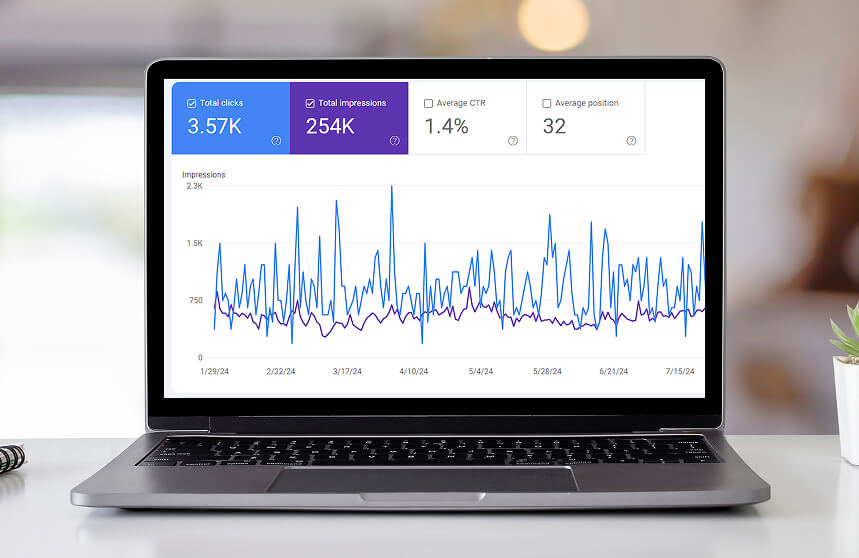 Organic Traffic And Search Visibility Gains
