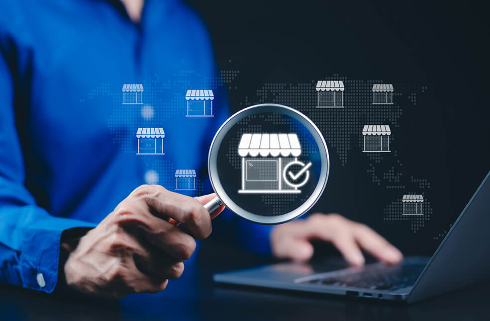Wisevu Local Seo Strategy