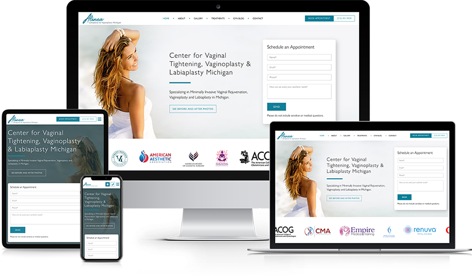Wisevu Web Design Alinea Labiaplasty Vaginoplasty Michigan