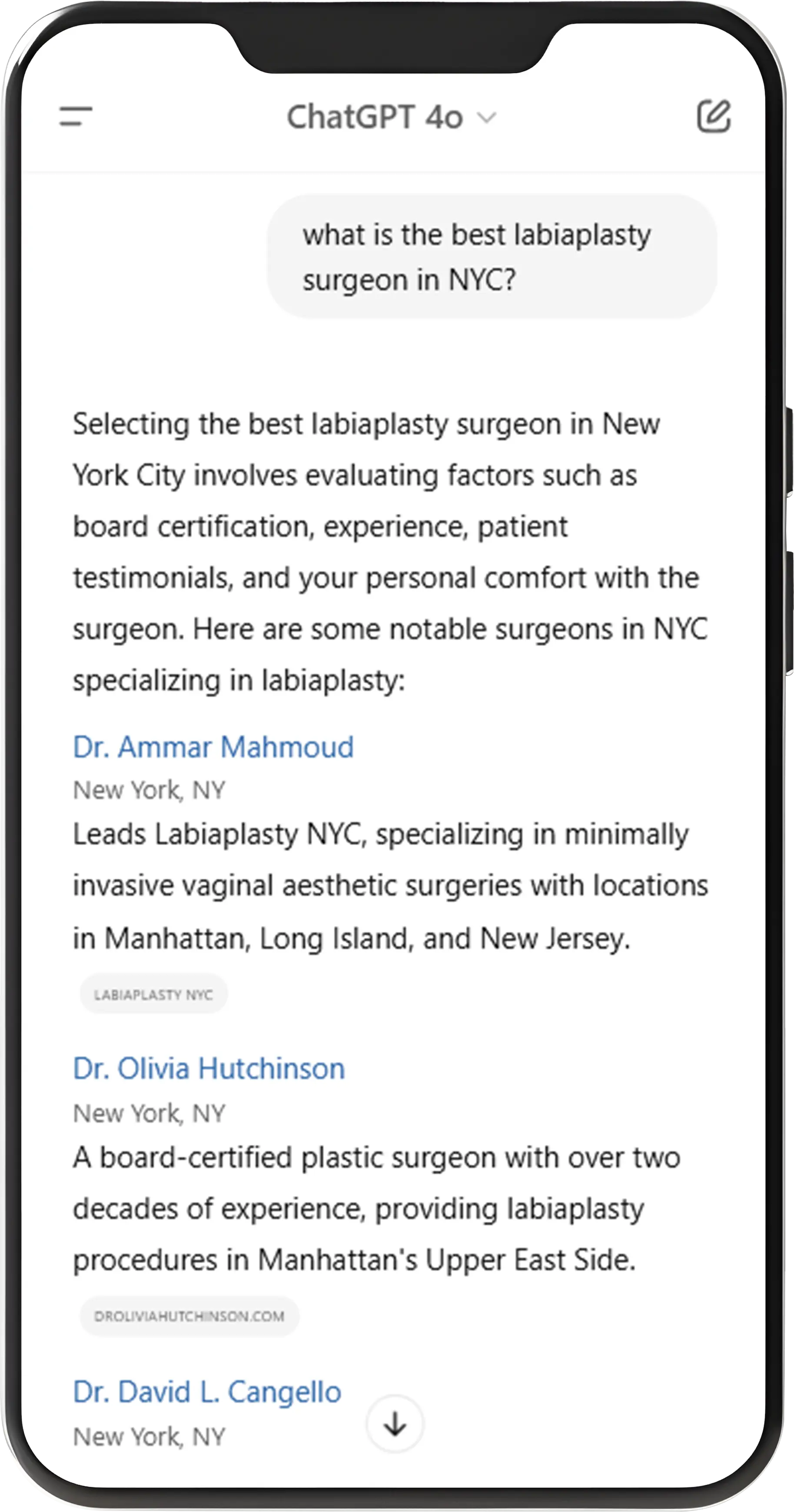 WV Ai Search Optimization Phone Mockups Labiaplasty NYC AI Search