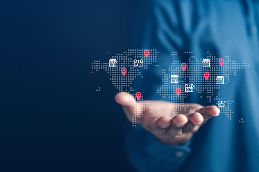 Wisevu local seo framework