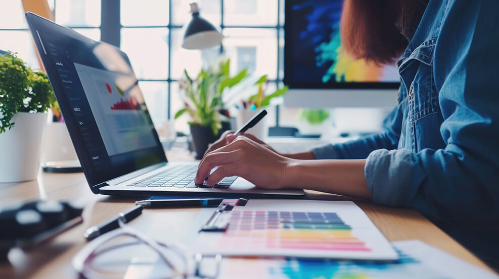 Wisevu web development