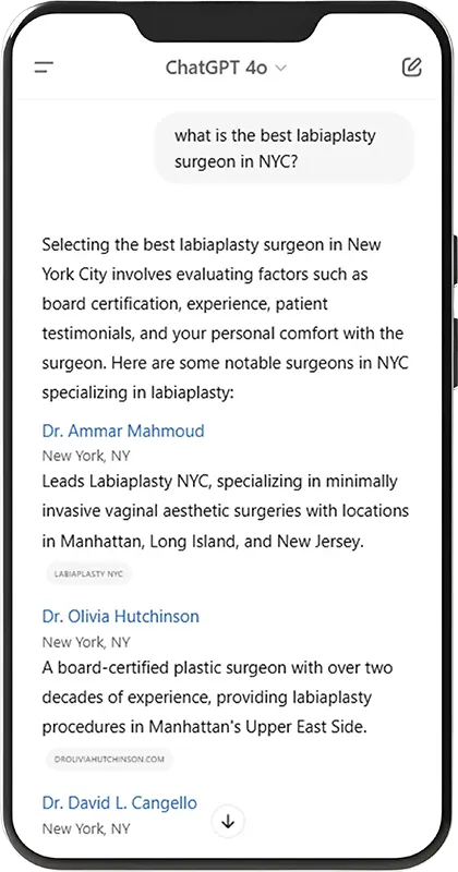WV Ai Search Optimization Phone Mockups Labiaplasty NYC AI Search