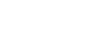 AI Overviews